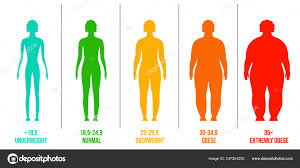 Creative Vector Illustration Of Bmi Body Mass Index