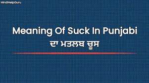 Meaning Of Suck In Punjabi | ਦਾ ਮਤਲਬ ਚੂਸ