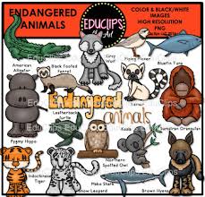 Endangered Animals Clip Art Bundle Educlips Clipart Endangered Animals Art Bundle Endangered