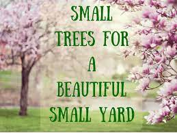 Check spelling or type a new query. 39 Small Trees Under 30 Feet For A Small Yard Or Garden Dengarden