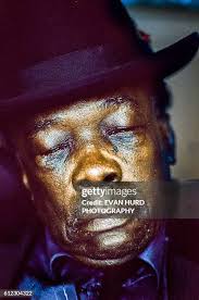 662 John Hurd Photos & High Res Pictures