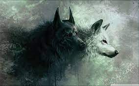 Black wolf and white wolf wallpaper. Mac Computer Wolf Wallpapers Wallpaper Cave