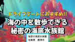 秘密の海底水族館: 海中散歩デートスポット