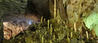 Pestera ursilor nu se remarca prin dimensiuni, ci prin fantastica aglomerare de formatiuni speologice, ceea ce o face sa fie unica in randul pesterilor amenajate pentru. Harta Traseu Pestera Ursilor