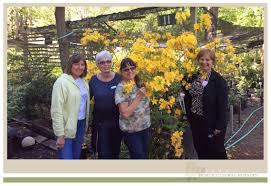 Exbury Azalea Hybrid Variety Thanks Josie Olga J B And Evelyn For Scheduling A Garden Tour And Visiting Us This Week We Appre Garden Tours Azaleas Blossom