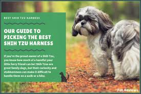 10 best harnesses for shih tzus our walking hiking no