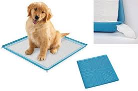 We carry a wide variety of prescription flea & tick, diabetic, heartworm, skin & coat, arthritis and more. Silicone Pad Holder Tray For Puppy Dog Pet Pee Training You Can Find Out More Details At The Link Of The Image Dog Pee Pads Puppy Pads Dog Training Pads