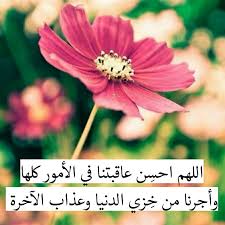 لا اله إلا الله مسلمه سنيه سلفيه ولله الحمد آمين يارب دعاء الحمدلله ادعيه ساعه استجابه يوم الجمعة الجمعة عرب فوتو Plants In This Moment Flowers