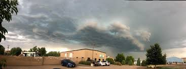 Maybe you would like to learn more about one of these? Savatree Colorado Springs Co Tree Service Lawn Care