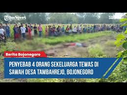 Teknisi listrik merupakan orang yang bertanggung jawab pada urusan kelistrikan di suatu perusahaan. Penyebab 4 Orang Sekeluarga Tewas Di Sawah Desa Tambahrejo Bojonegoro Youtube