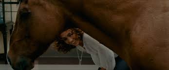 Mongooses Teocali Pro-Review-Pinkbike-direct bike action