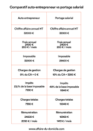 Votre statut auto entrepreneur / indépendant. Auto Entrepreneur Vs Portage Salarial Le Match Affaire Du Domicile Com