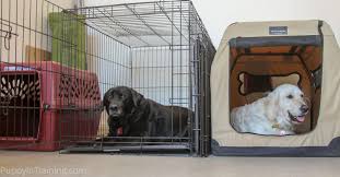 Puppies can travel the following ways (all are completely safe and enjoyable for the frenchie). Which Dog Crate Is Best For My Puppy Puppy In Training