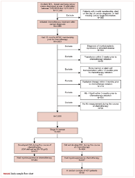 What are the stages of cancer and what does it mean for you? Symptom Burdens Related To Chemotherapy Induced Anemia In Stage Iv Cancer Mdedge Hematology And Oncology