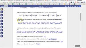 Answers Dna Rna Protein Synthesis Youtube