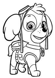 We'll do the shopping for you. Robot Hond Paw Patrol Kleurplaat Paw Patrol Coloring Pages Getcoloringpages Com
