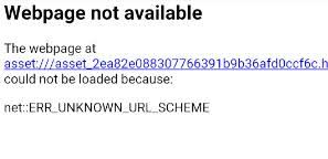 The Webpage At Asset Asset_ Could Not Be