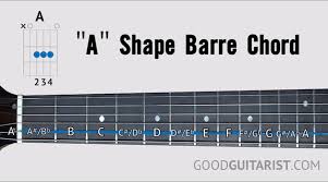 Unlock The Fretboard Play In Any Key Using Barre Chords