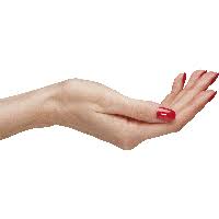 Download Palm Hands Png Hand Image Hq Png Image Freepngimg All png & cliparts images on nicepng are best quality. palm hands png hand image hq png image