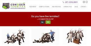 Friendly & experienced inspectors, detailed reports within 24hrs. The 9 Best Options For Termite Inspection In Brisbane 2021