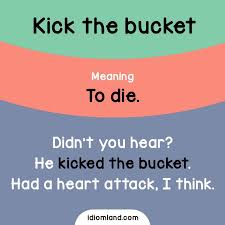Bite Off More Than You Can Chew Idiom Idiom Of The Day Kick The Bucket Meaning To Die Example Didn T You Hear He Kicked The Bucket Had A Hear English Idioms Idioms Learn English Vocabulary