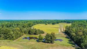26 acres Lee Bradsher Road, Hurdle Mills, NC 27541