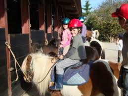 Que Faire En Vendee Pendant Vos Vacances Loisirs Accueil Vendee Vendee Vacances Vendee Loisirs