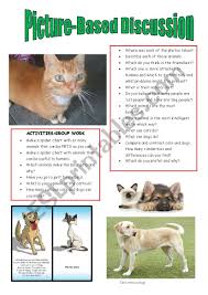 Picture Based Discussion Cats Vs Dogs Esl Worksheet By