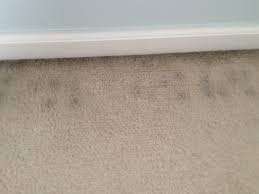 We did not find results for: Black Marks On Carpet Alongside Baseboard Doityourself Com Community Forums