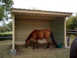 Abris De Prairies Premier Prix Le Specialiste Des Box Et Abris Pour Chevaux Abri Chevaux Plans De Cheval De Grange Conceptions De Cheval De Grange