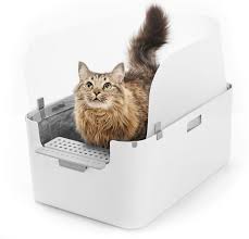 Pin By Lef On Cat Lady Cat Litter Tray Cat Training Litter Box Litter Tray