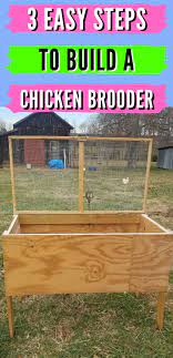 Chicken Brooder Easy Free Diy Chicken Brooder Plans Chicken Diy Chicken Brooder Brooder