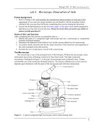 Lab 2 Microscopic Observation Of Cells