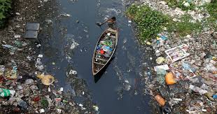Di fatto, però, 'mangiare la plastica' è una sintesi giornalistica non del tutto corretta, dal l'ideonella sakaiensis è un organismo già noto dal 2016 e evolutosi naturalmente in una discarica di rifiuti in giappone dove ha, per così dire, imparato a mangiare la plastica. La Plastica Non E Un Problema Il Bo Live Unipd