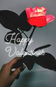 Led Red Rose Cute Valentines Day Ideas Red Roses Cute Fairy