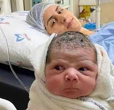 ercüment oral (@oral_ercument)