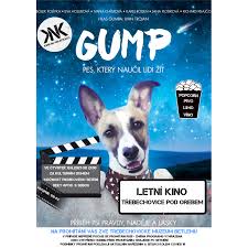 „jsem gump a byl jsem toulavej pes…. Gump Pes Ktery Naucil Lidi Zit Letni Kino