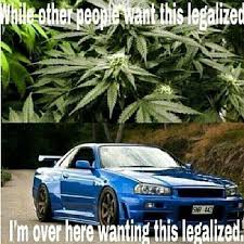 Similar Galleries Import Car Memes Muscle Car Meme Car Memes Car Memes Car Humor Funny Car Quotes