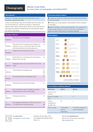 Some of the worksheets displayed are student exploration stoichiometry gizmo answer key pdf, meiosis and mitosis. Meiosis Cheat Sheet By Leahs Notes Download Free From Cheatography Cheatography Com Cheat Sheets For Every Occasion