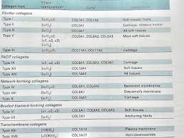 Collagen Structure Distribution Synthesis Regulation