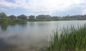 We did not find results for: Stormwater Management System Strathcona County