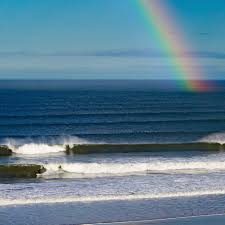 نتیجه جستجوی لغت [surf] در گوگل