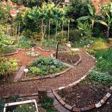 Permaculture Guilds The Basics A Permaculture Guild Is The Intentional Grouping Of Plants To Cre Permaculture Gardening Garden Layout Backyard Garden Design