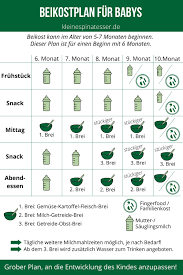 Babybrei Beikost Optimal Einfuhren Mit Dem Beikostplan