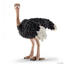 Страус Schleich 14744, цена 556 грн — Prom.ua (ID#1429039701)