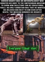 Pin By I Love Anime Creepypast On Tumblr Posts Stupid Funny Memes Memes Cute Stories