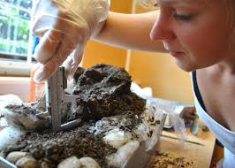 Forskning och utveckling