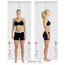 Posture Chart Perform Quick And Effective Assessments