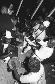 Image result for Alafia zambesiaca