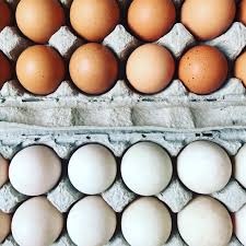 Reviews and menu of dallas chicken & ribs, order chicken, burger, pizza online. Decision On A Backyard Chicken Ordinance For Plano Delayed Until Next Year Community Impact